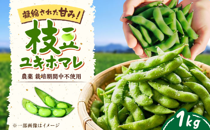 【バランス農法】 枝豆 1kg (ユキホマレ) | えだまめ ユキホマレ 産地直送 北海道 | あぐりこ園 [BOAA003]