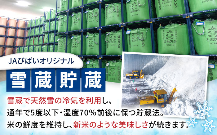 【5回定期便】雪蔵工房 ゆめぴりか おぼろづき 計10kg（5kg×2袋） | 精米 お米 米 北海道 北海道米 | JAびばい [BOAF025]