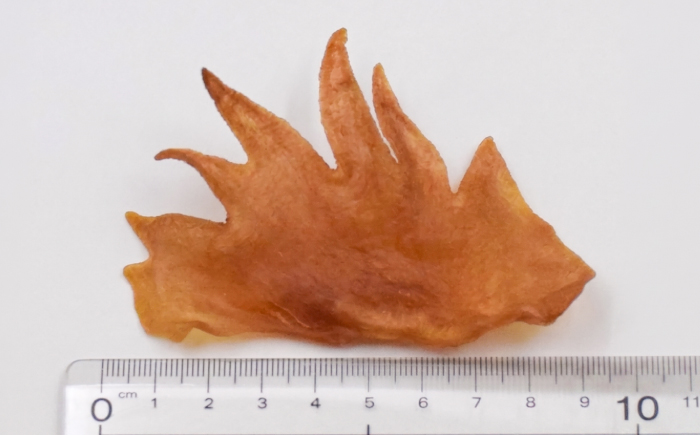 愛犬・愛猫用おやつ 北海道産鶏冠ジャーキー 計200g （100g×2個） | ペットフード ペット用 ジャーキー ドッグフード おやつ  とさか トサカ | Dear Hounds [BOAE040]