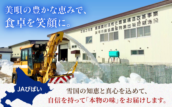 【夏アスパラ】【7月中旬順次発送】雪蔵美人 アスパラガス Lサイズ 1kg | アスパラ グリーンアスパラ アスパラガス 北海道 夏野菜 | JAびばい [BOCC002]
