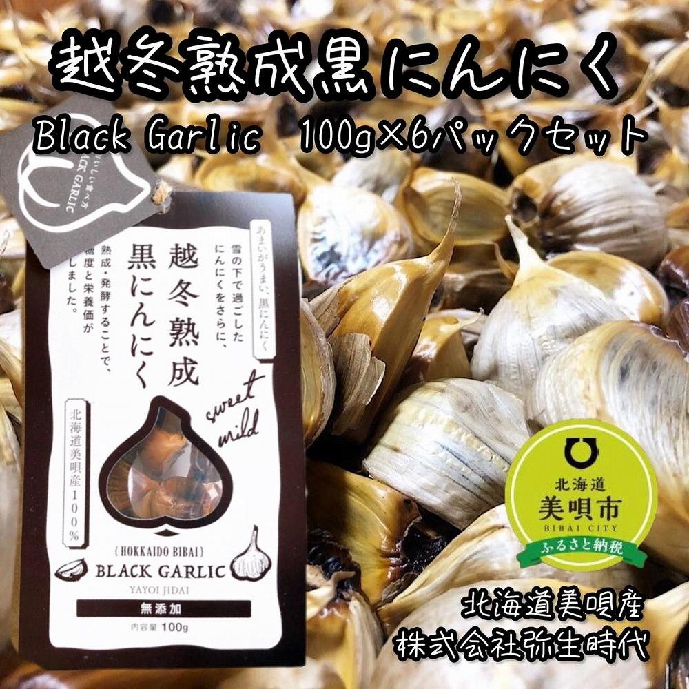 【株式会社弥生時代】越冬熟成黒にんにく100g×6袋【Lサイズ片】