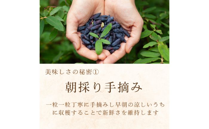 ハスカップコンフィチュールとジャム セット 計1.2kg（200g×6袋） | ハスカップ ジャム 保存料 無添加 北海道 | 有限会社ヤマキ山本靖商店 [BOCB005]