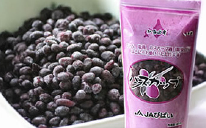 ハスカップ 600g（300g×2パック） | フルーツ 果物 北海道 特産品 冷凍 | JAびばい [BOAF030]