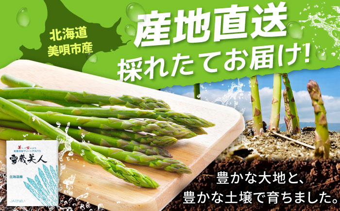 【夏アスパラ】【7月中旬順次発送】雪蔵美人 アスパラガス Lサイズ 1kg | アスパラ グリーンアスパラ アスパラガス 北海道 夏野菜 | JAびばい [BOCC002]