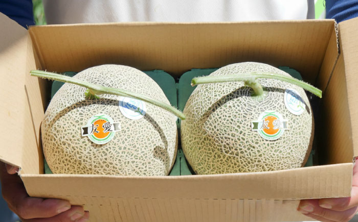 【2026年7月〜順次発送】 赤肉 メロン ルピアレッド 2玉 | 赤肉メロン めろん 先行予約 北海道 メロン赤肉 | JAみねのぶ [BOAG007]