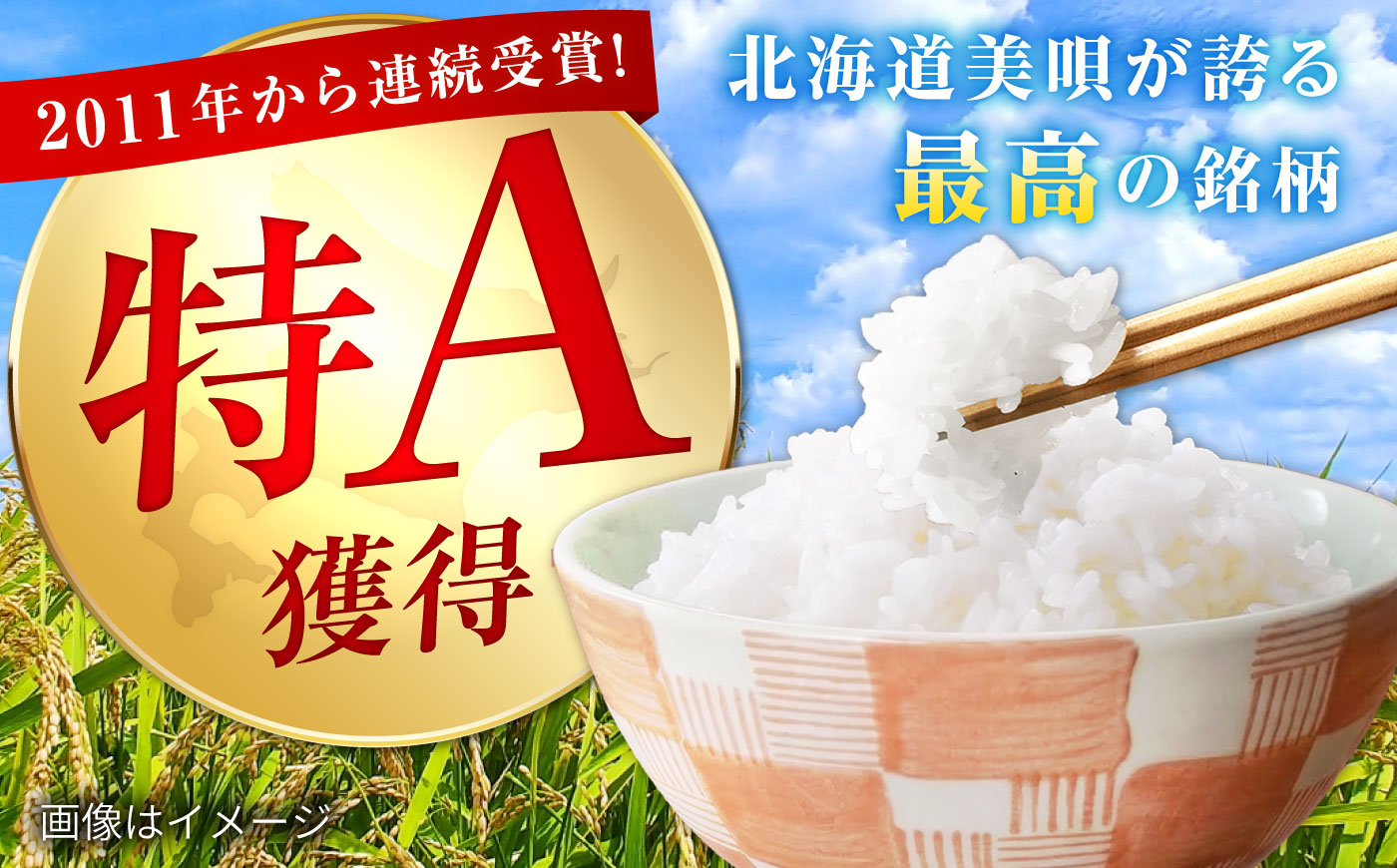 【先行予約】【12回定期便】 令和8年産 北海道産 ゆめぴりか 5kg | 米 お米 白米 新米 ゆめぴりか | 株式会社SKFグループ [BOAY046]