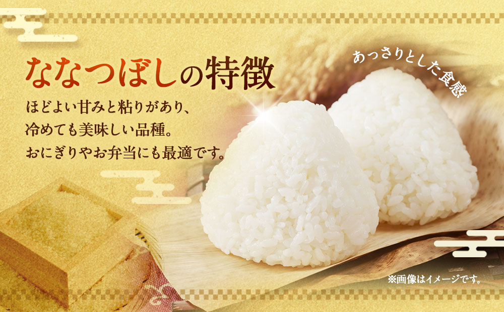 【令和７年産米】北海道産ななつぼし １０kg【国産 白米 精米 お米 単一原料米 厳選精米 厳選 マイスター 生活応援 ななつぼし おすすめ 北海道 美唄市 美唄】