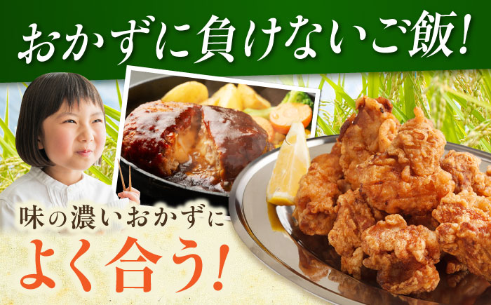 雪蔵工房 ゆめぴりか 5kg | 精米 お米 米 北海道 北海道米 | JAびばい [BOAF003]