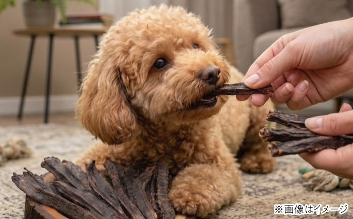 愛犬・愛猫用おやつ 蝦夷鹿 すね肉 ジャーキー 計200g（100g×2個） | ペットフード ペット用 ジャーキー ドッグフード おやつ | Dear Hounds [BOAE017]