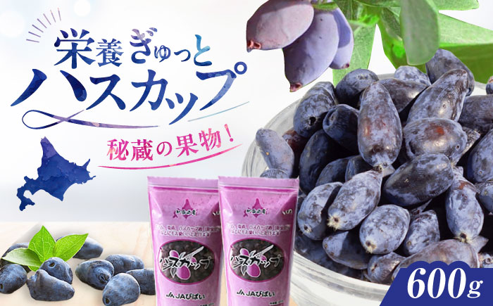 ハスカップ 600g（300g×2パック） | フルーツ 果物 北海道 特産品 冷凍 | JAびばい [BOAF030]
