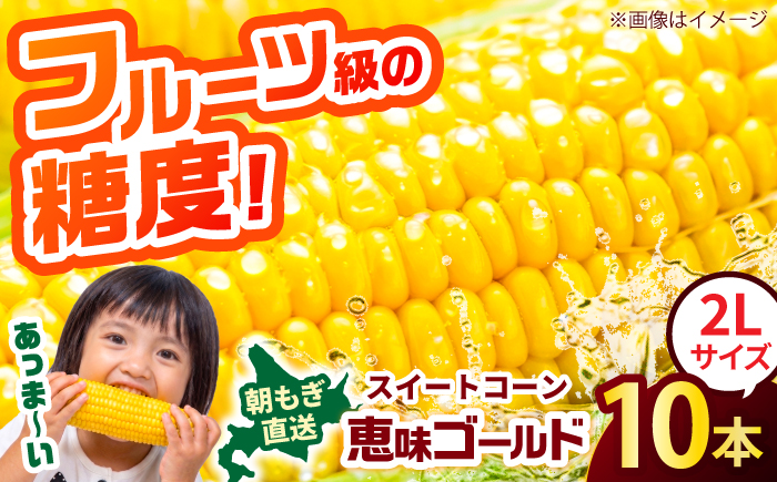 【2026年8月上旬〜順次発送】 スイートコーン 恵味ゴールド 10本入 | 北海道産 とうもころし トウモロコシ 野菜 北海道 | JAみねのぶ [BOAG032]