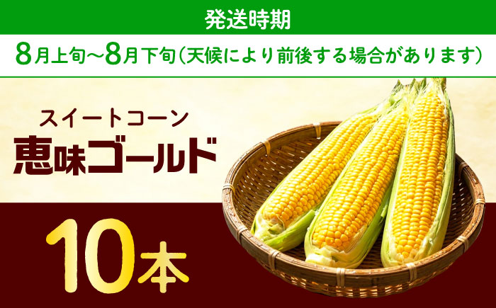 【2026年8月上旬〜順次発送】 スイートコーン 恵味ゴールド 10本入 | 北海道産 とうもころし トウモロコシ 野菜 北海道 | JAみねのぶ [BOAG032]