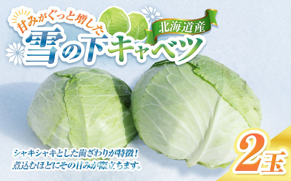 【先行予約】【数量限定】北海道産雪の下キャベツ２玉