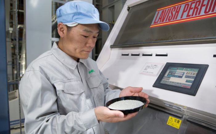 【先行予約】【6回定期便/固定月】 無洗米 令和8年産 北海道 ゆめぴりか 精米 10kg （5kg×2袋）| 2026年11月以降順次発送 | 白米 お米 米 北海道産 コメ | 株式会社松原米穀 [BOCG039]