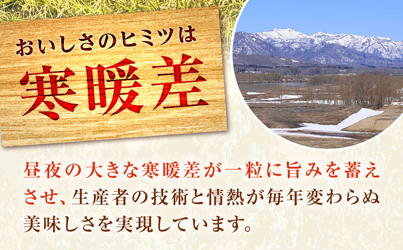 【先行予約】【6回定期便】 令和8年産 北海道産 ななつぼし 5kg | 米 お米 白米 新米 ななつぼし | 株式会社SKFグループ [BOAY036]