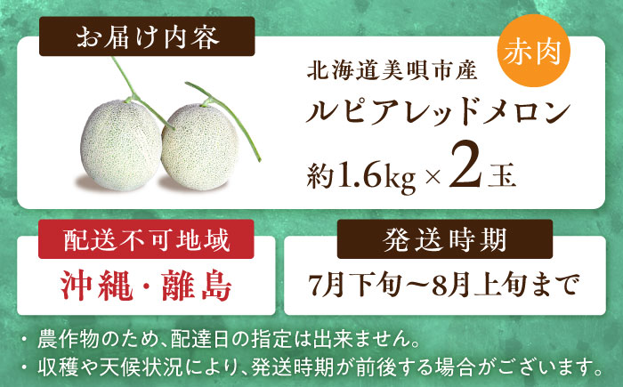 【2026年7月〜順次発送】 赤肉 メロン ルピアレッド 2玉 | 赤肉メロン めろん 先行予約 北海道 メロン赤肉 | JAみねのぶ [BOAG007]