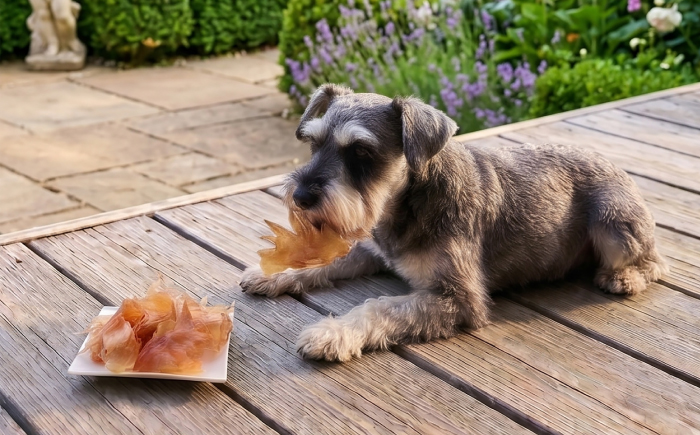愛犬・愛猫用おやつ 北海道産鶏冠ジャーキー【細切り】 計400g （200g×2個） | 無添加 ペットフード ペット用 ジャーキー ドッグフード おやつ  とさか トサカ | Dear Hounds [BOAE039]