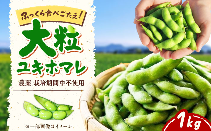 【バランス農法】 枝豆 1kg (大粒ユキホマレ) | えだまめ 野菜 豆 産地直送 北海道 | あぐりこ園 [BOAA005]