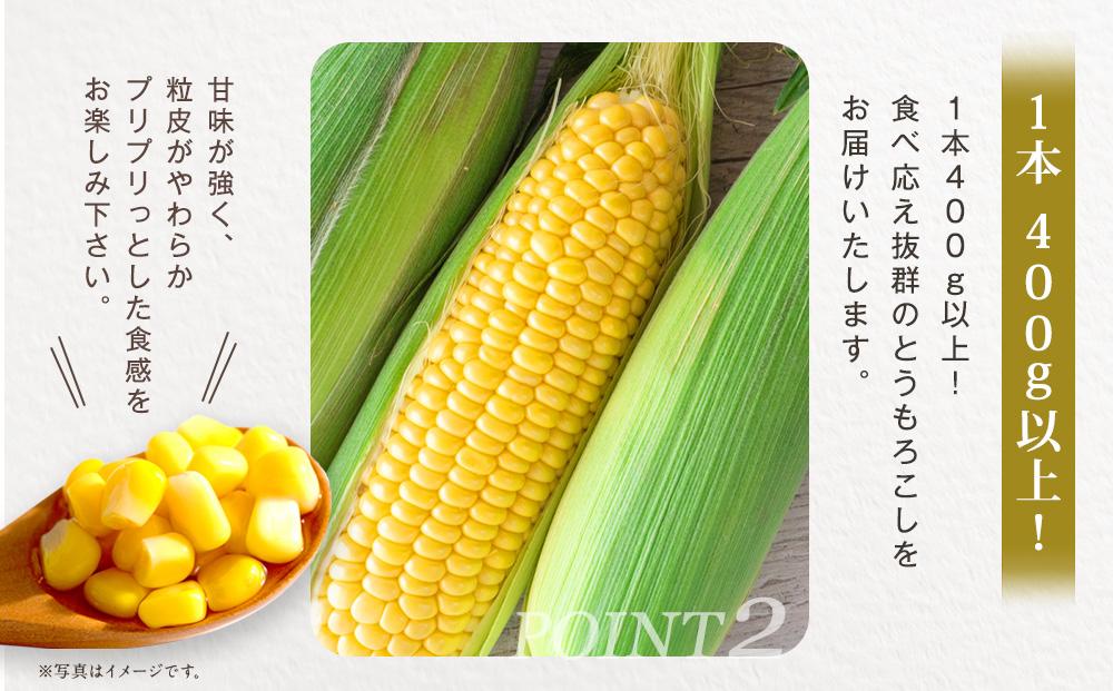 【2026年発送】【先行予約】【数量限定】北海道産スイートコーン　１０本入　