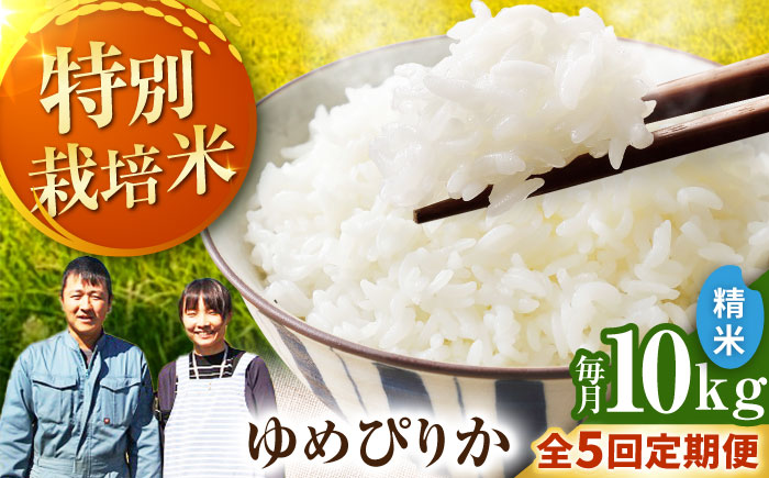 【全5回定期便】【令和7年産】伊藤農園の特別栽培米 ゆめぴりか 精米 10kg  | 米 お米 特別栽培米 精米 北海道産 ゆめぴりか | 伊藤農園 [BOAT004]
