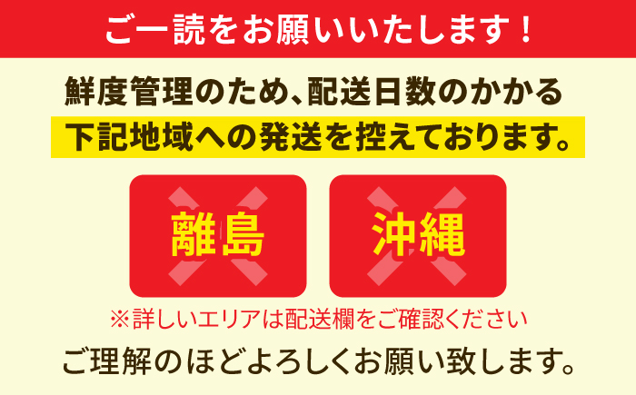 【2026年7月〜順次発送】 赤肉 メロン ルピアレッド 3玉 | 赤肉メロン めろん 先行予約 北海道 メロン赤肉 | JAみねのぶ [BOAG008]