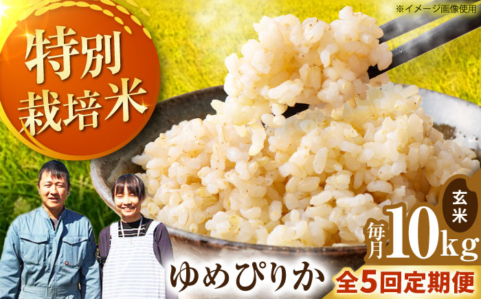 【全5回定期便】【令和7年産】伊藤農園の特別栽培米 ゆめぴりか 玄米 10kg  | 米 お米 特別栽培米 玄米 北海道産 ゆめぴりか | 伊藤農園 [BOAT007]