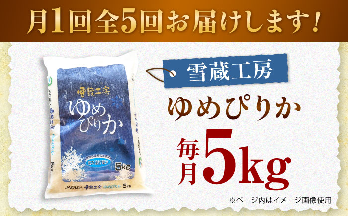 【5回定期便】雪蔵工房 ゆめぴりか 5kg | 精米 お米 米 北海道 北海道米 | JAびばい [BOAF017]