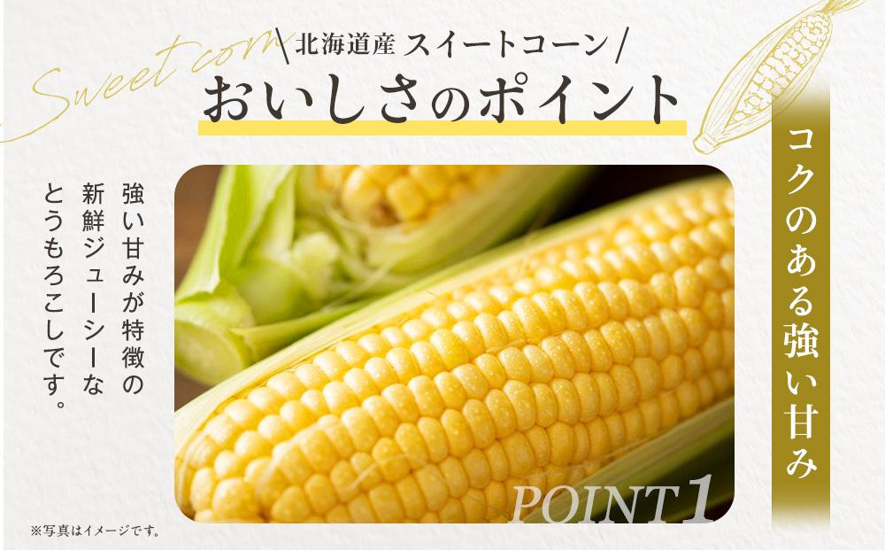 【2026年発送】【先行予約】【数量限定】北海道産スイートコーン　１０本入　