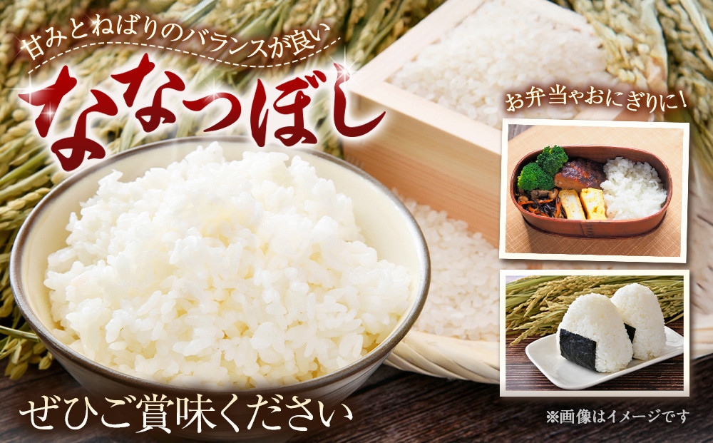 【令和６年産米/最短翌日発送】 北海道産ななつぼし　精米5kg【国産 白米 精米 お米 単一原料米 厳選精米 厳選 マイスター 生活応援 ななつぼし おすすめ 北海道 美唄市 美唄】●