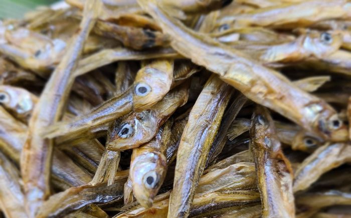 愛犬・愛猫用おやつ 北海道産 ワカサギジャーキー 計400g（200g×2個）| ペットフード ペット用 ジャーキー ドッグフード おやつ | Dear Hounds [BOAE033]