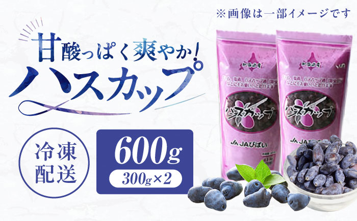 ハスカップ 600g（300g×2パック） | フルーツ 果物 北海道 特産品 冷凍 | JAびばい [BOAF030]