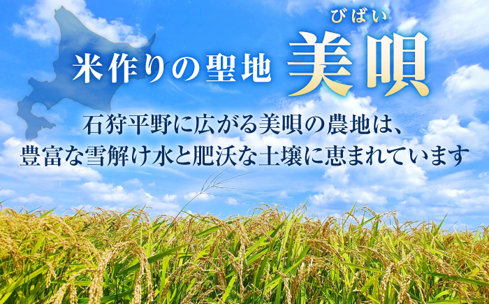 【先行予約】【3回定期便】 令和8年産 北海道産 ゆめぴりか 5kg | 米 お米 白米 新米 ゆめぴりか | 株式会社SKFグループ [BOAY042]