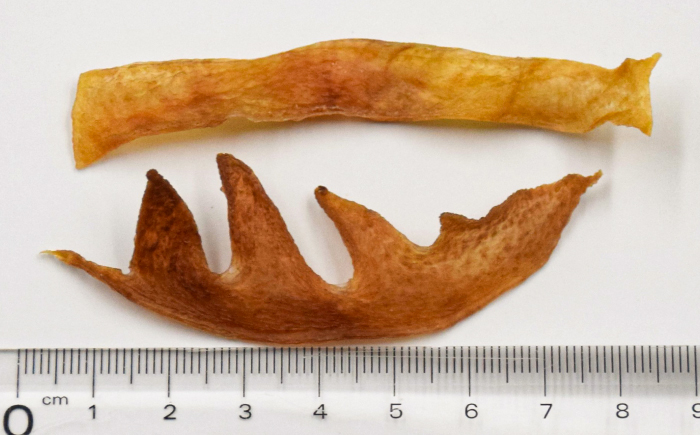 愛犬・愛猫用おやつ 北海道産鶏冠ジャーキー【細切り】 計200g （100g×2個） | 無添加 ペットフード ペット用 ジャーキー ドッグフード おやつ とさか トサカ | Dear Hounds [BOAE038]