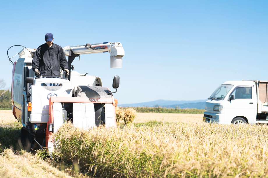 指定分野を応援(備考欄に自由記述）