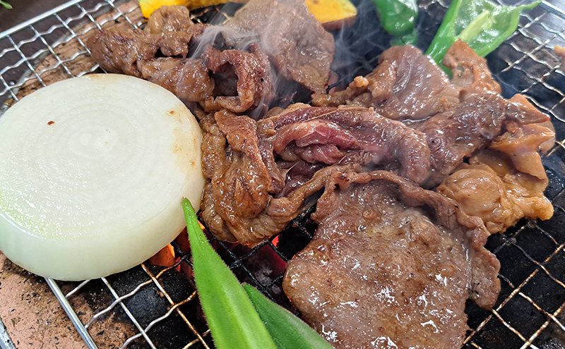 一力商店 バーベキューセット スタンダード セット 詰め合わせ 味付け肉 味付き肉 牛肉 豚肉 牛 豚 肉 お肉 焼き肉 焼肉 バーベキュー アウトドア キャンプ ロース 上ホルモン ホルモン 牛さがり 牛カルビ 豚サガリ とんじんかん 北海道 芦別市