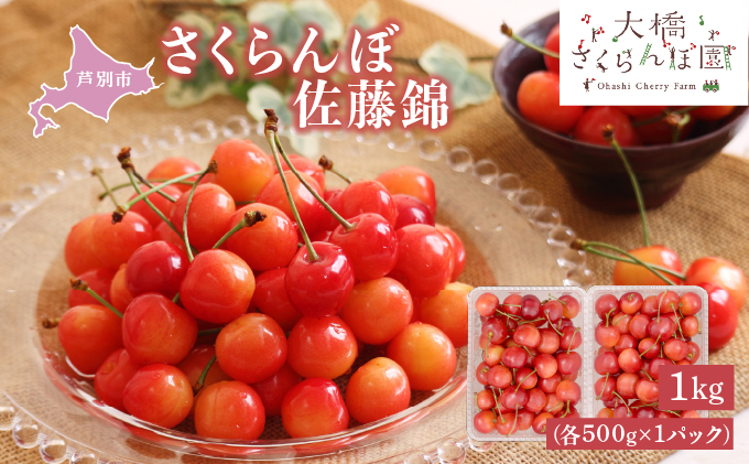 【 先行受付 】さくらんぼ 佐藤錦 1kg (500g×2パック) チェリー フルーツ 果物 旬のフルーツ 旬の果物 くだもの 北海道 芦別市