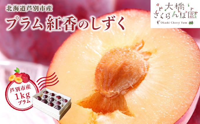 【 先行受付 】プラム 紅香のしずく 1kg 北海道産 すもも フルーツ 果物 旬のフルーツ 旬の果物 くだもの 北海道 芦別市