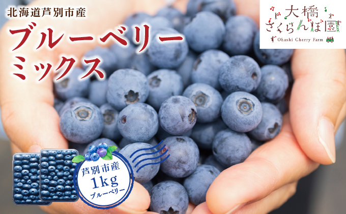 【 先行受付 】ブルーベリー ミックス 1kg 冷蔵 果物 くだもの フルーツ 旬の果物 旬のフルーツ 8品種 ミックスブルーベリー 大粒 小粒 北海道 芦別市