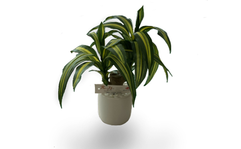 光触媒 造花 約25cm ×2 セット ドラセナ グリーンボール 観葉植物 フェイクグリーン インテリア 置物 空気清浄 人工 観葉 植物 触媒 卓上 ミニ 雑貨 フェイク グリーン 北海道 芦別市