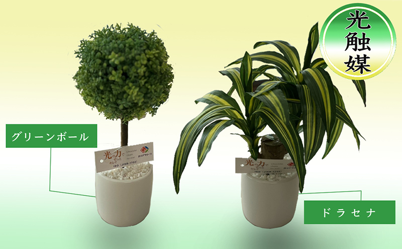 光触媒 造花 約25cm ×2 セット ドラセナ グリーンボール 観葉植物 フェイクグリーン インテリア 置物 空気清浄 人工 観葉 植物 触媒 卓上 ミニ 雑貨 フェイク グリーン 北海道 芦別市