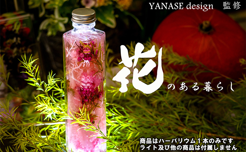 繝上シ繝舌Μ繧ヲ繝 pink 闃ア蟄」 YANASEdesign. 繝斐Φ繧ッ 繝上シ繝舌Μ繧ヲ繝繧ェ繧、繝ォ 逑カ 繧ェ繧、繝ォ 闃ア 縺翫@繧繧 縺九o縺縺 繧キ繝ウ繝励Ν 繧、繝ウ繝繝ェ繧「 鬟セ繧 鄂ョ迚ゥ 蛹玲オキ驕 闃ヲ蛻・蟶