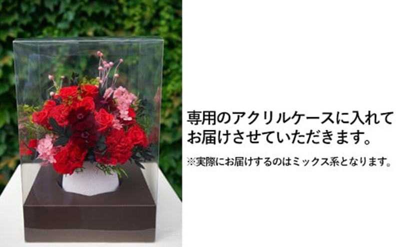 繝励Μ繧カ繝シ繝悶ラ繝輔Λ繝ッ繝シ Calm mix 闃ア蟄」 YANASE design. 繝溘ャ繧ッ繧ケ 繧「繧ッ繝ェ繝ォ繧ア繝シ繧ケ 繝悶Μ繧カ繝シ繝峨ヵ繝ゥ繝ッ繝シ 繝峨Λ繧、繝輔Λ繝ッ繝シ 闃ア 縺翫@繧繧 縺九o縺縺 繧キ繝ウ繝励Ν 繧、繝ウ繝繝ェ繧「 鬟セ繧 闃ア 鄂ョ迚ゥ 蛹玲オキ驕 闃ヲ蛻・蟶