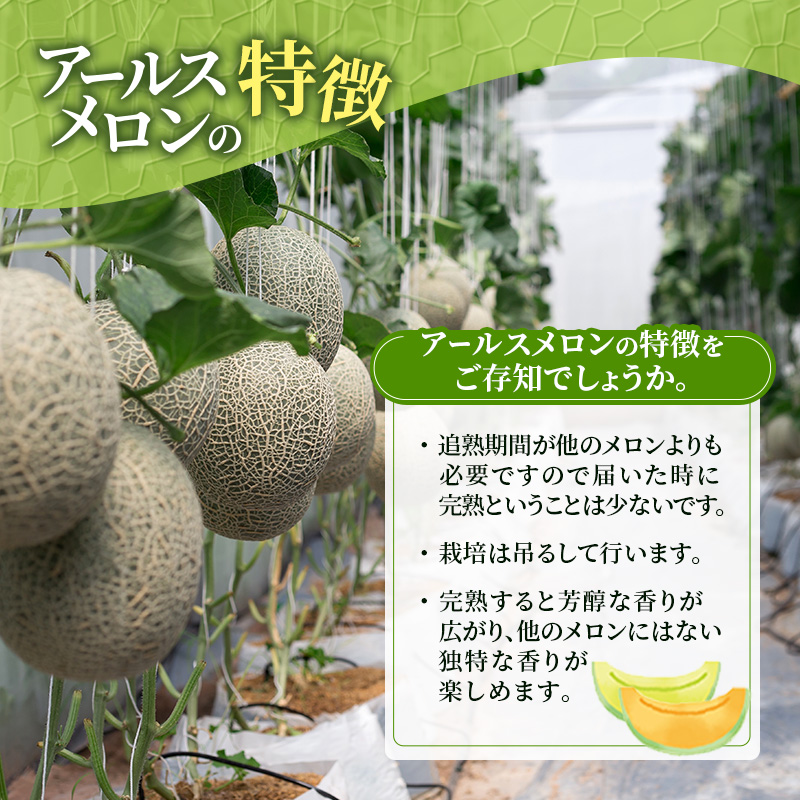 メロン 赤肉 青肉 2玉 食べ比べ セット 詰め合わせ 芦別メロン 計2.8kg以上 北海道 芦別市 アールスメロン 果物 果物類 フルーツ デザート 高級 至福 濃厚 甘い 豊かな香り 食べ方ガイド