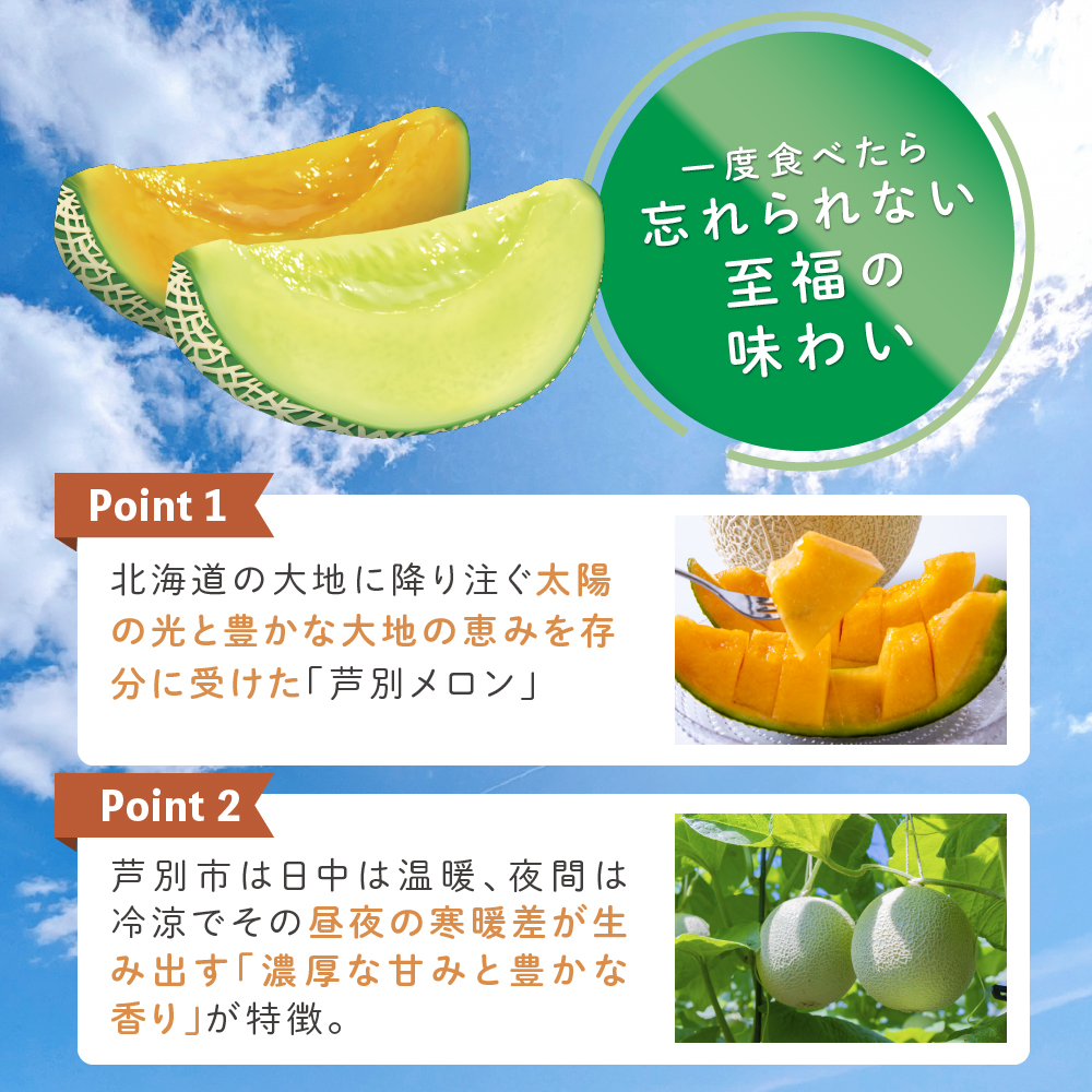 メロン 赤肉 青肉 2玉 食べ比べ セット 詰め合わせ 芦別メロン 計2.8kg以上 北海道 芦別市 アールスメロン 果物 果物類 フルーツ デザート 高級 至福 濃厚 甘い 豊かな香り 食べ方ガイド