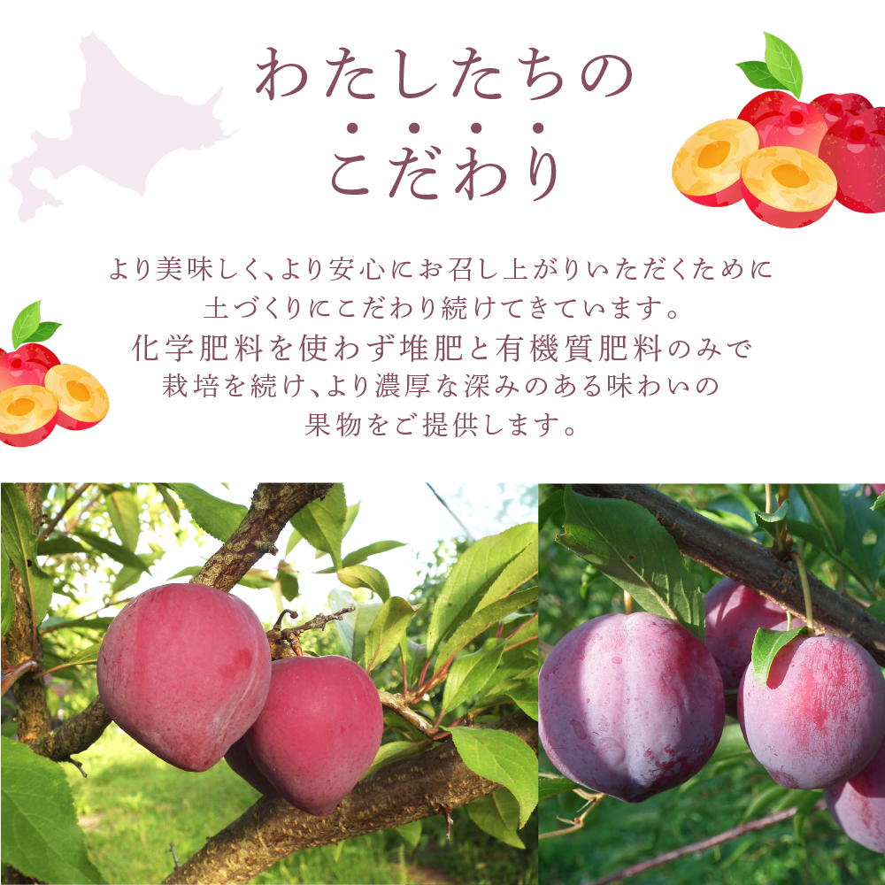ã å
è¡åä» ã ãã©ã æè±ç« 1kg ãã«ãŒã æç© ãã ãã® æ¬ã®ãã«ãŒã æ¬ã®æç© å£ç¯ã®ãã«ãŒã å£ç¯ã®æç© åæµ·é èŠå¥åž