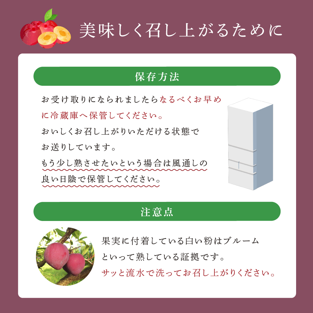 ã å
è¡åä» ã ãã©ã æè±ç« 1kg ãã«ãŒã æç© ãã ãã® æ¬ã®ãã«ãŒã æ¬ã®æç© å£ç¯ã®ãã«ãŒã å£ç¯ã®æç© åæµ·é èŠå¥åž