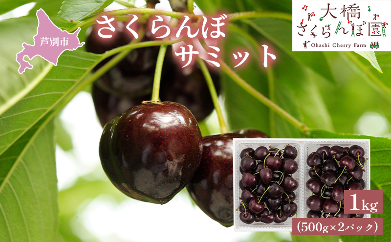 【 先行受付 】さくらんぼ サミット 1kg 500g×2パック 農林水産大臣賞 受賞 サクランボ チェリー 果物 果物類 フルーツ デザート 大粒 肉質 希少 北海道 芦別市