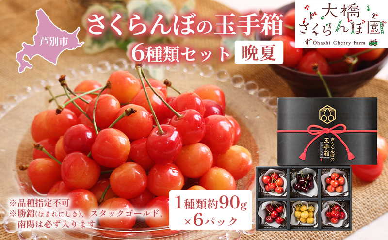 【 先行受付 】さくらんぼ さくらんぼの玉手箱 6種類セット 晩夏 ※品種指定不可 果物類 フルーツ チェリー