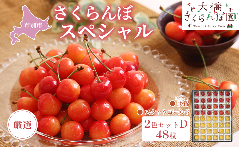 【 先行受付 】さくらんぼ 厳選さくらんぼスペシャル2色D 48粒（赤・黄）勝錦・スタックゴールド 果物類 フルーツ チェリー 