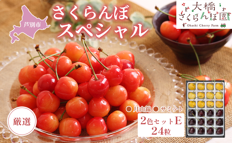 【 先行受付 】さくらんぼ 厳選 さくらんぼ スペシャル 2色 セット E 24粒（黄・黒） 月山錦 サミット フルーツ 果物 季節のフルーツ 旬 旬のフルーツ 夏 化粧箱 ギフト 贈り物 贈答 プレゼント 冷蔵 冷蔵配送 北海道 芦別市
